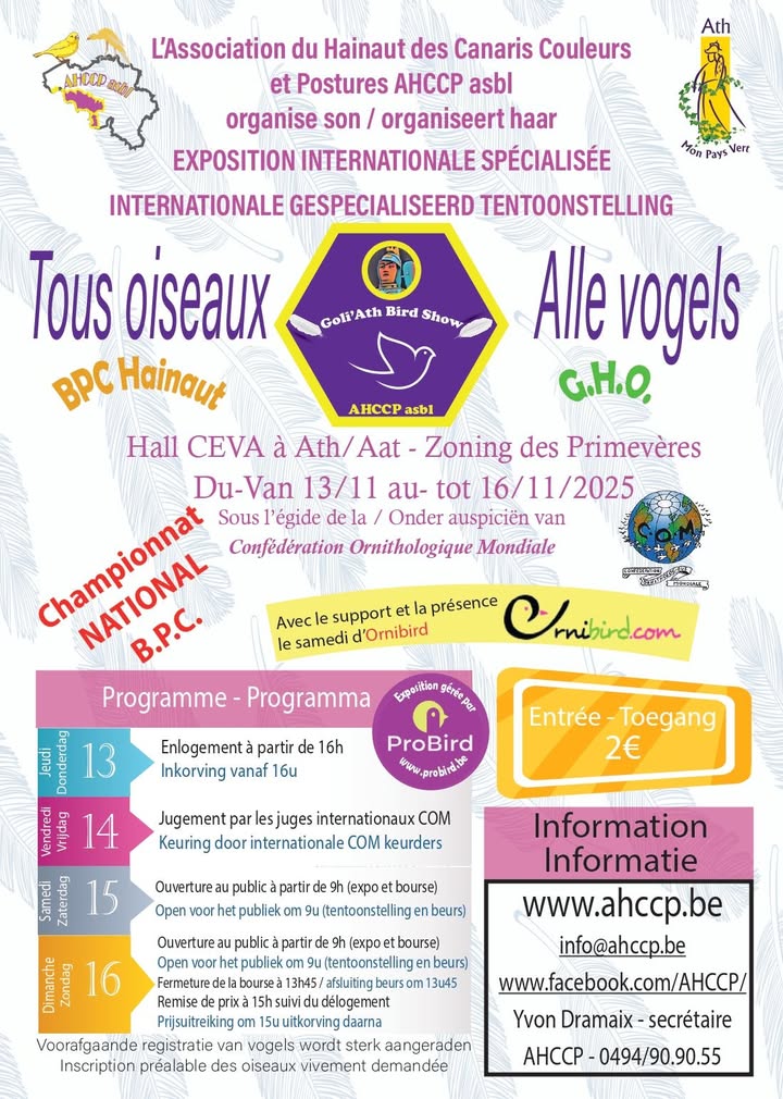 AHCCP - Association du Hainaut des Canaris Couleurs et Postures ASBL