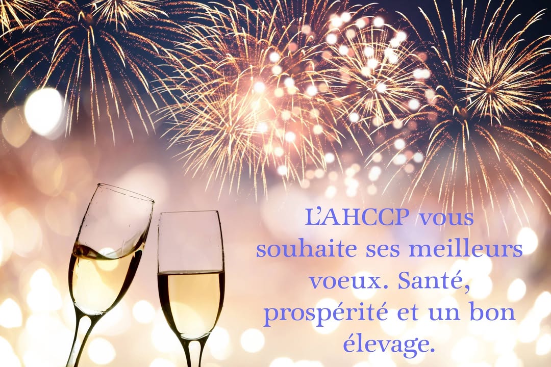 AHCCP - Association du Hainaut des Canaris Couleurs et Postures ASBL