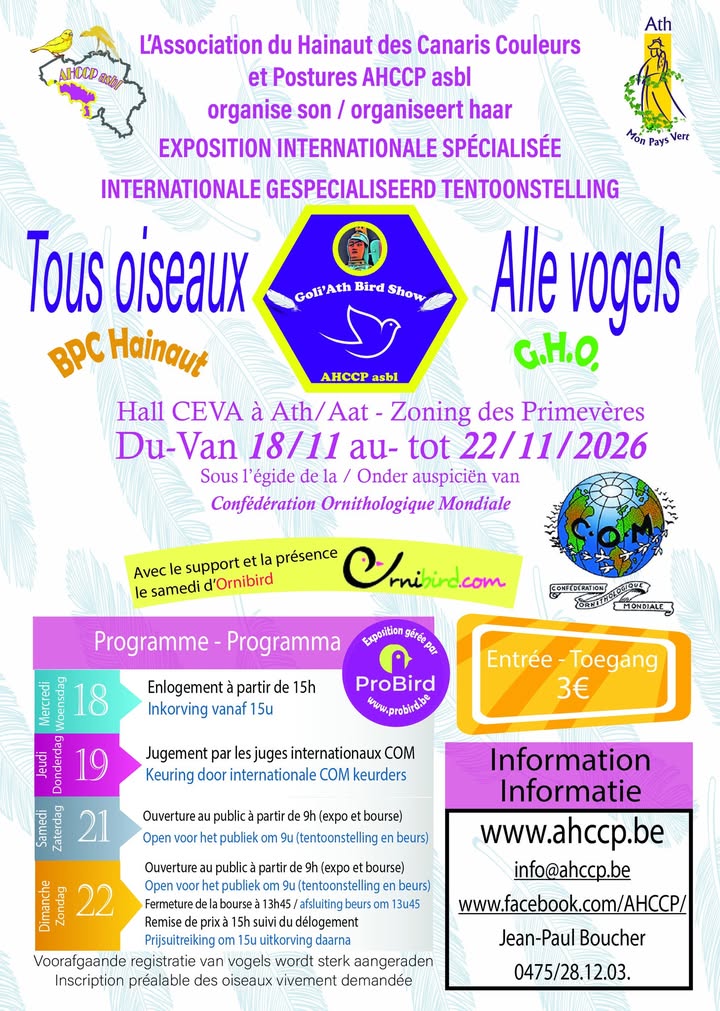 AHCCP - Association du Hainaut des Canaris Couleurs et Postures ASBL